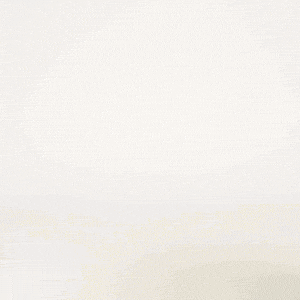 GIF animé montrant les différents détails du coffret Potions : un zoom sur les finitions métalliques dorées, la texture du bois laqué, la doublure en suédine et les illustrations intérieures.