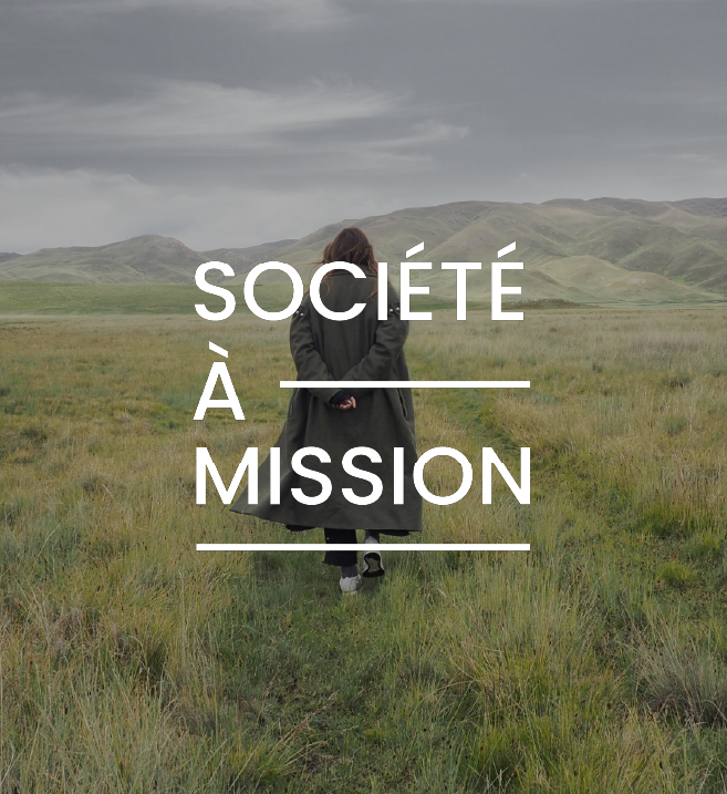 文字 &quot;SOCIÉTÉ À MISSION &quot;叠加在一个人的图像上，从后面看，他正沿着一条小路在广阔的绿色平原上行走。