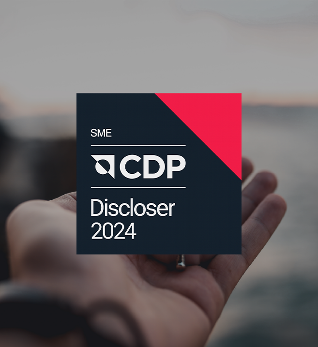 中小型企业 CDP 披露者 2024 的徽标仿佛张开的手掌，背景是暮色中的风景。
